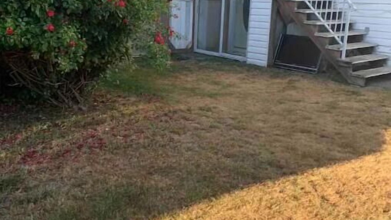 Photo of Outdoor in Newton
