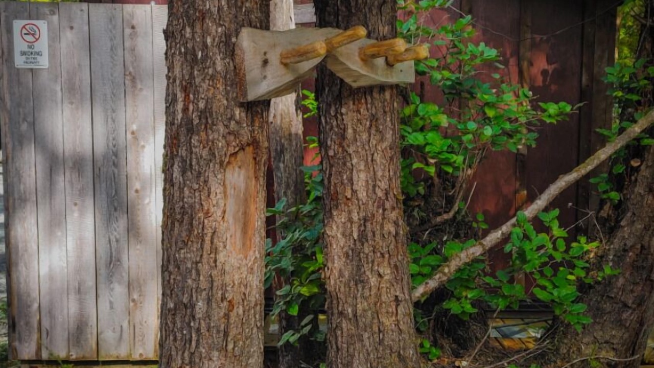 Photo of Others in Ucluelet