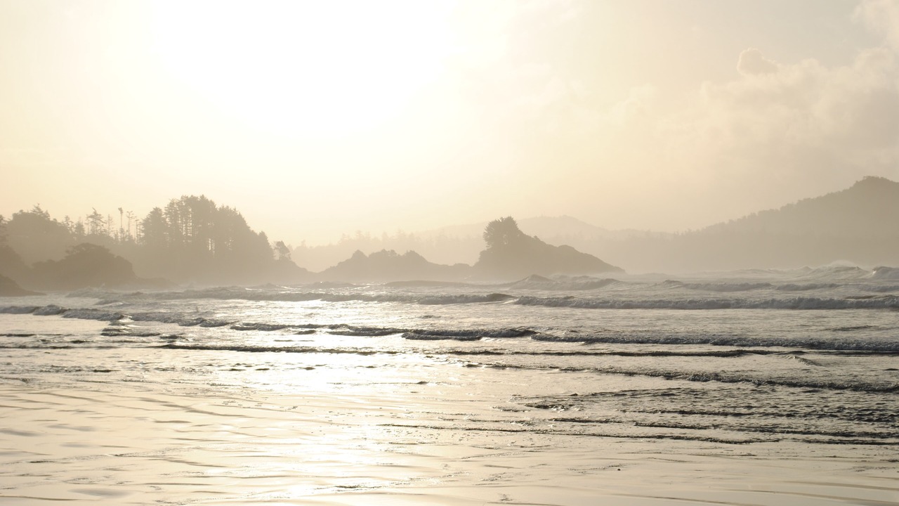 Photo of Others in Tofino