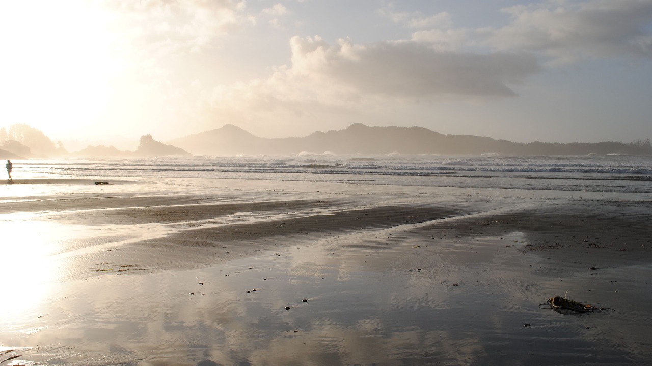 Photo of Others in Tofino