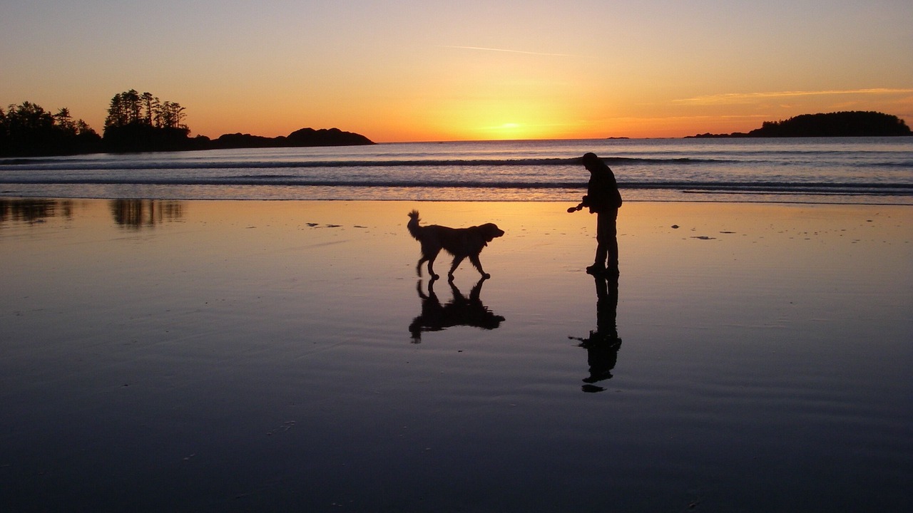 Photo of Others in Tofino