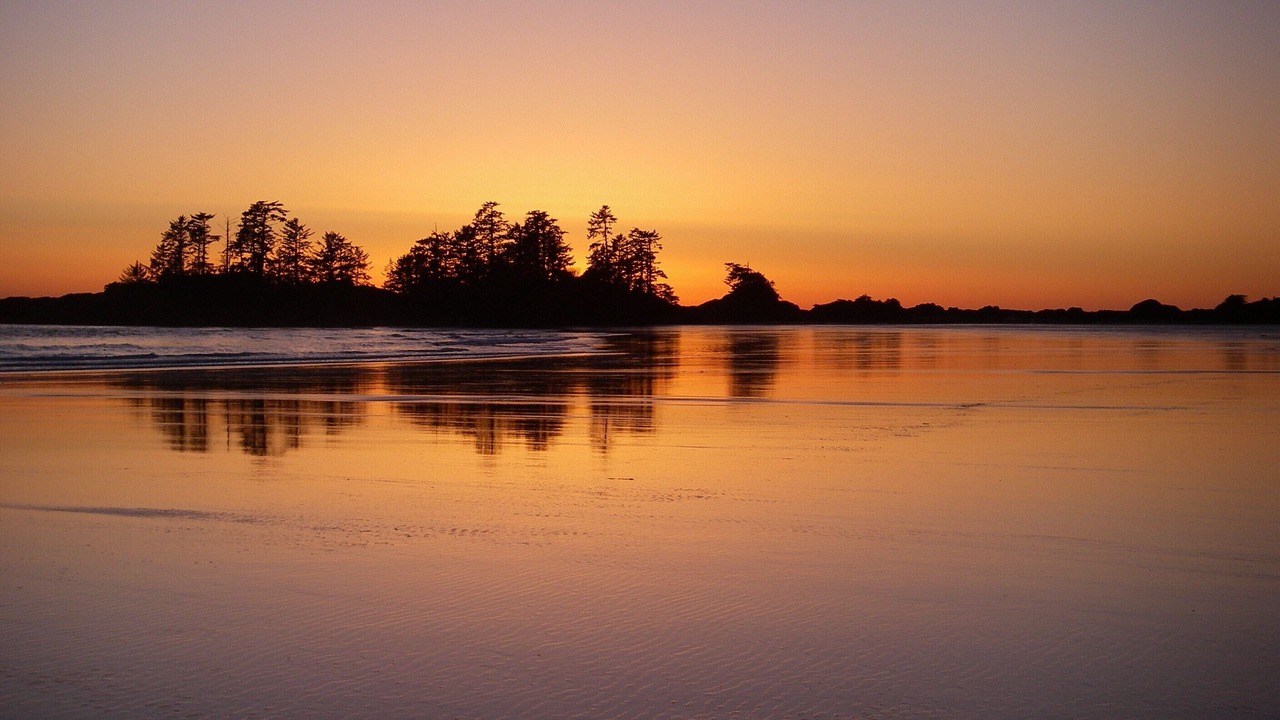 Photo of Others in Tofino