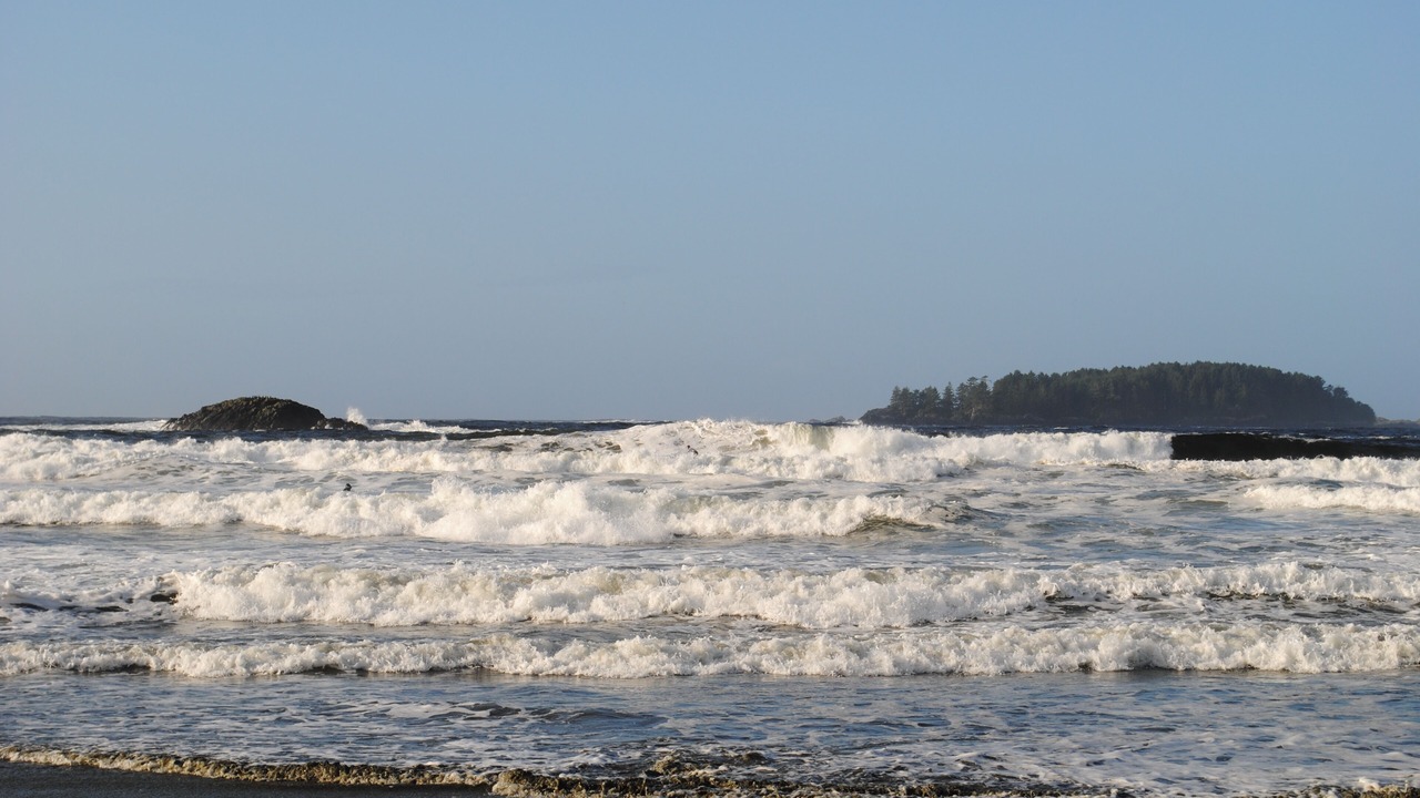 Photo of Others in Tofino