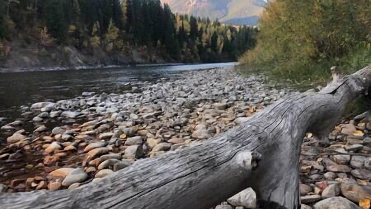 Photo of Others in Fernie