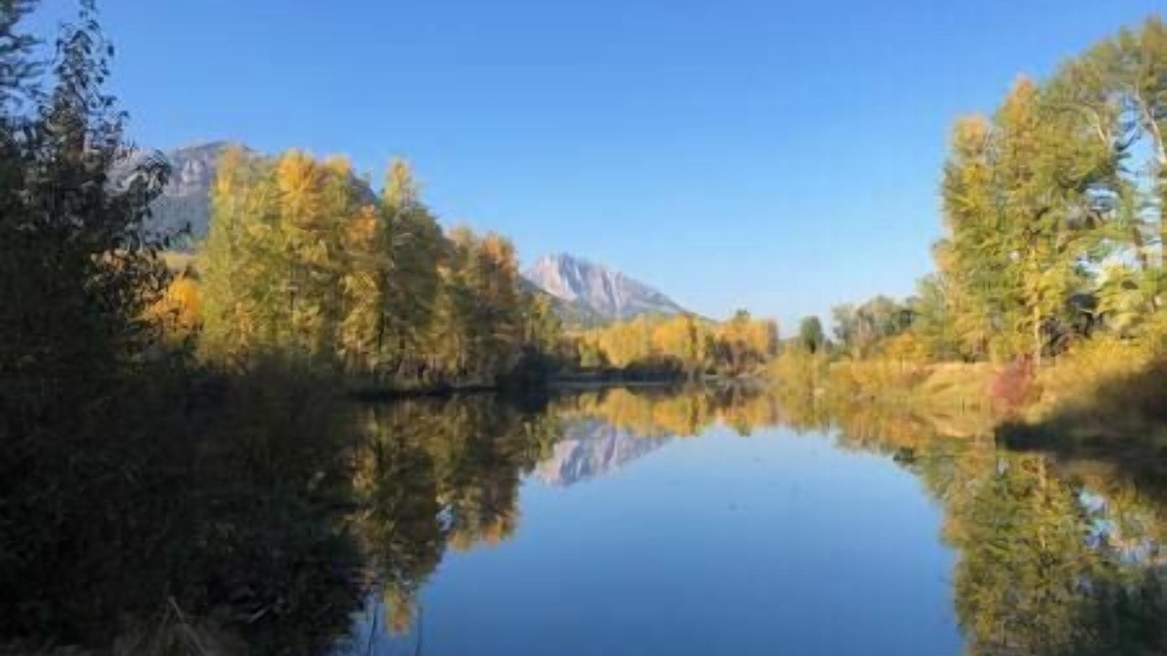 Photo of Others in Fernie