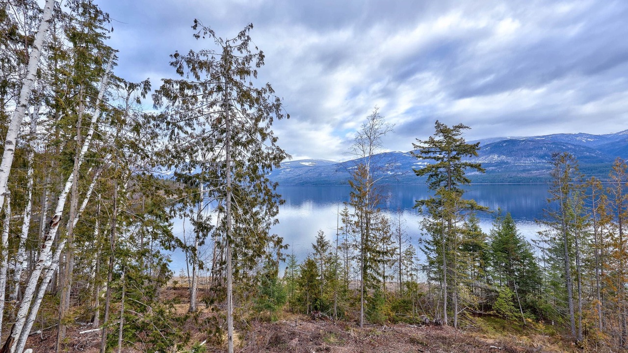 Photo of Others in Adams Lake