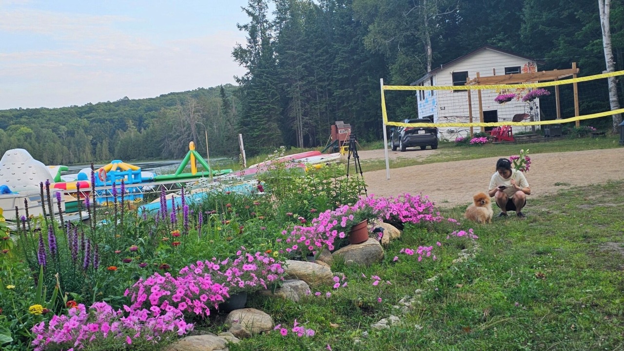 Photo of Outdoor in Dysart et al