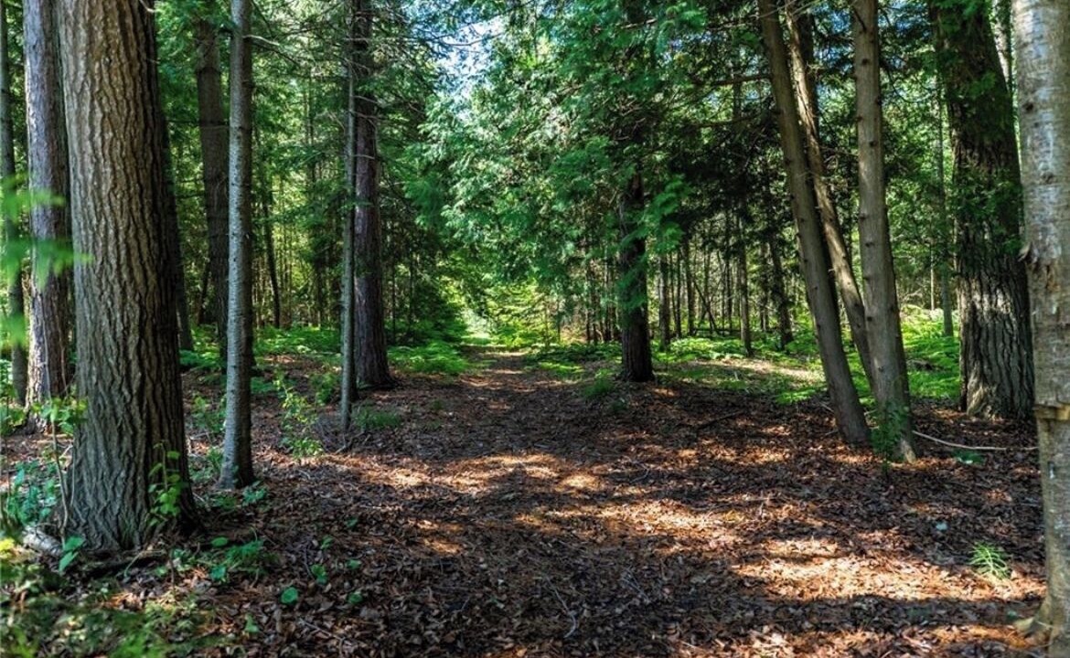 Photo of Outdoor in Northern Bruce Peninsula
