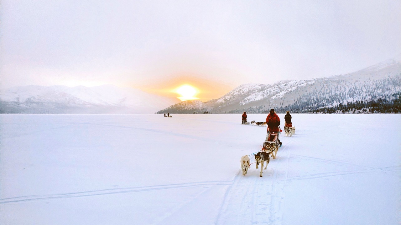 Photo of Others in Whitehorse