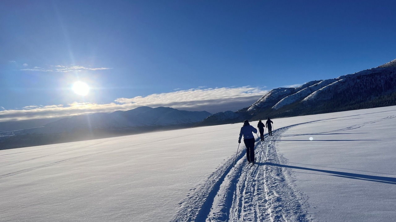 Photo of Others in Whitehorse