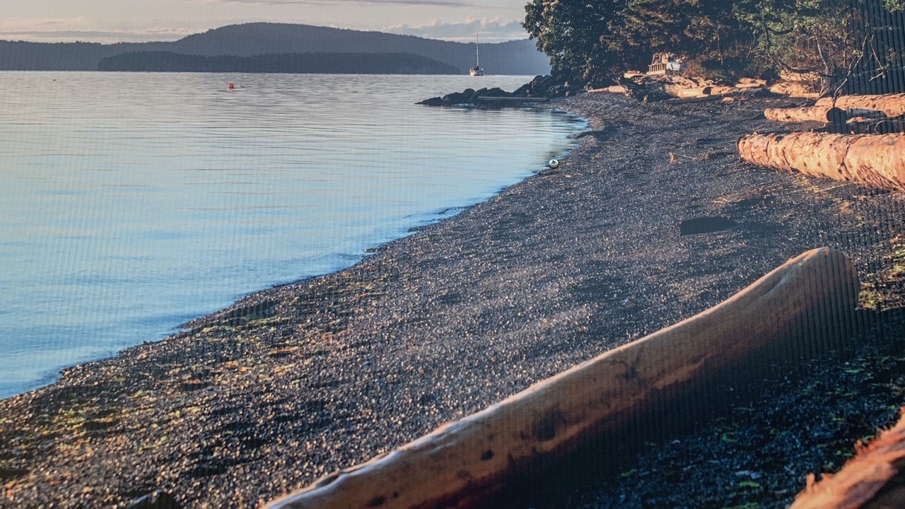 Photo of Others in Chemainus