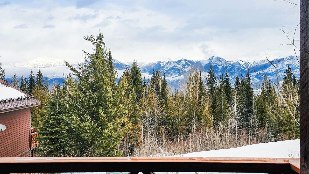 Photo of Outdoor in Golden