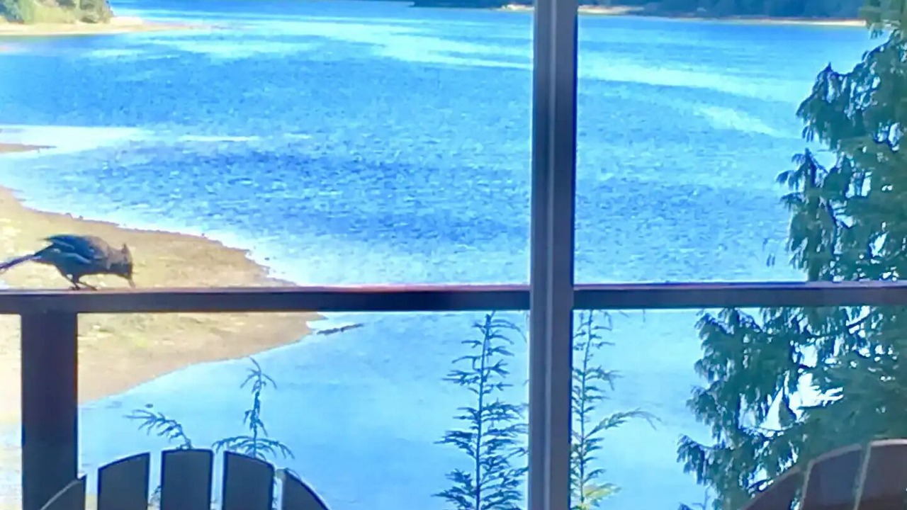 Photo of Others in Ucluelet