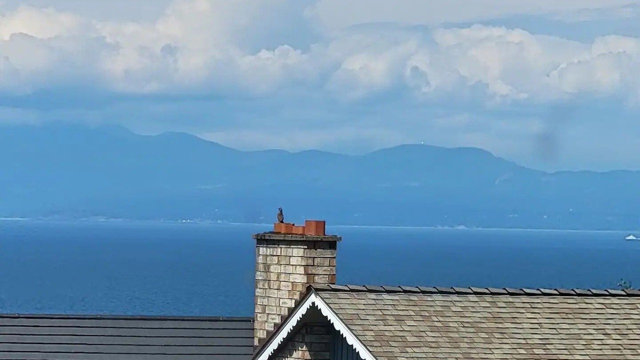 Photo of Others in Regional District of Nanaimo