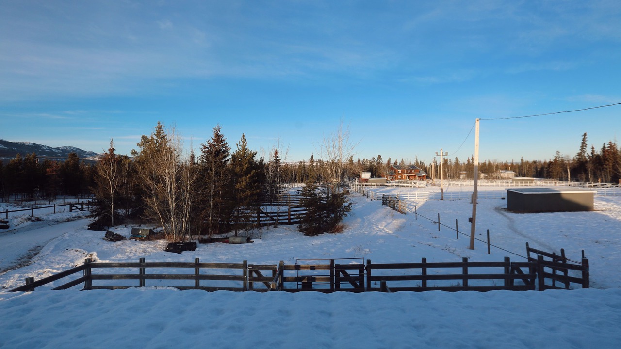Photo of Outdoor in Whitehorse
