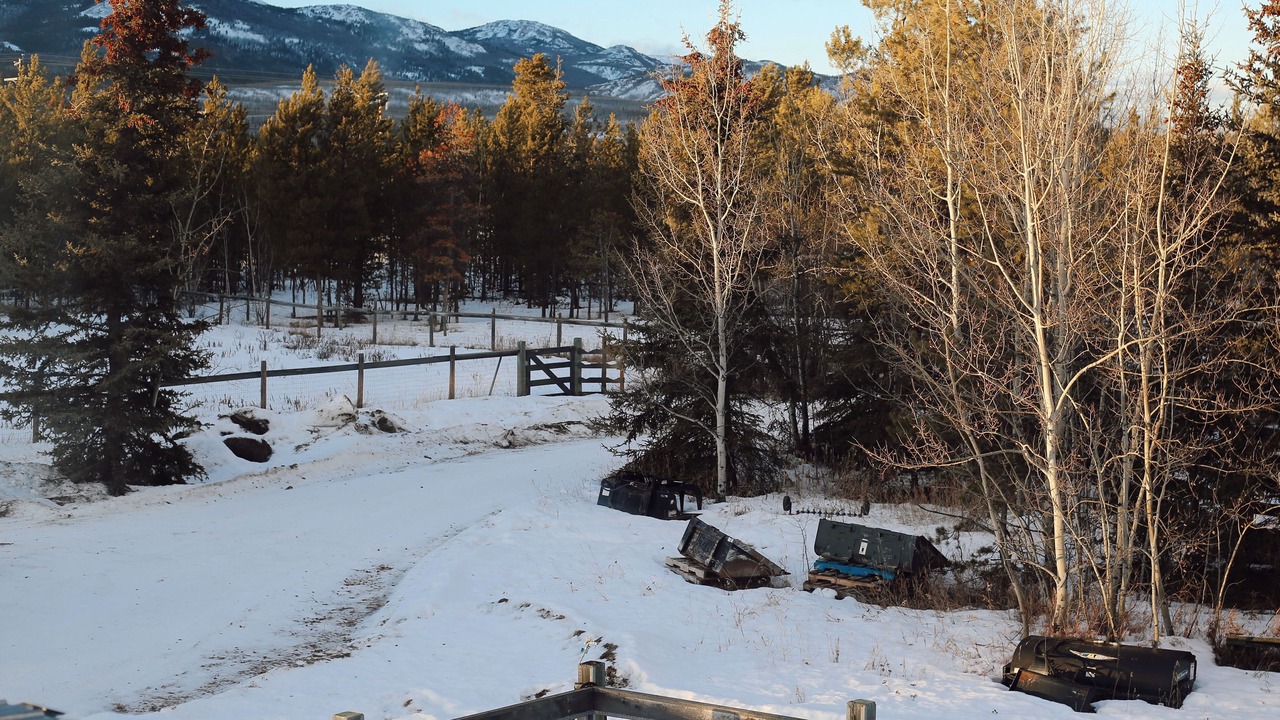 Photo of Others in Whitehorse