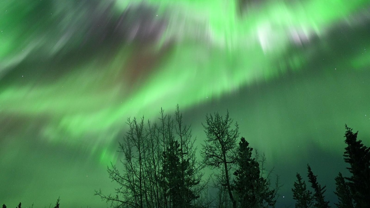 Photo of Others in Whitehorse