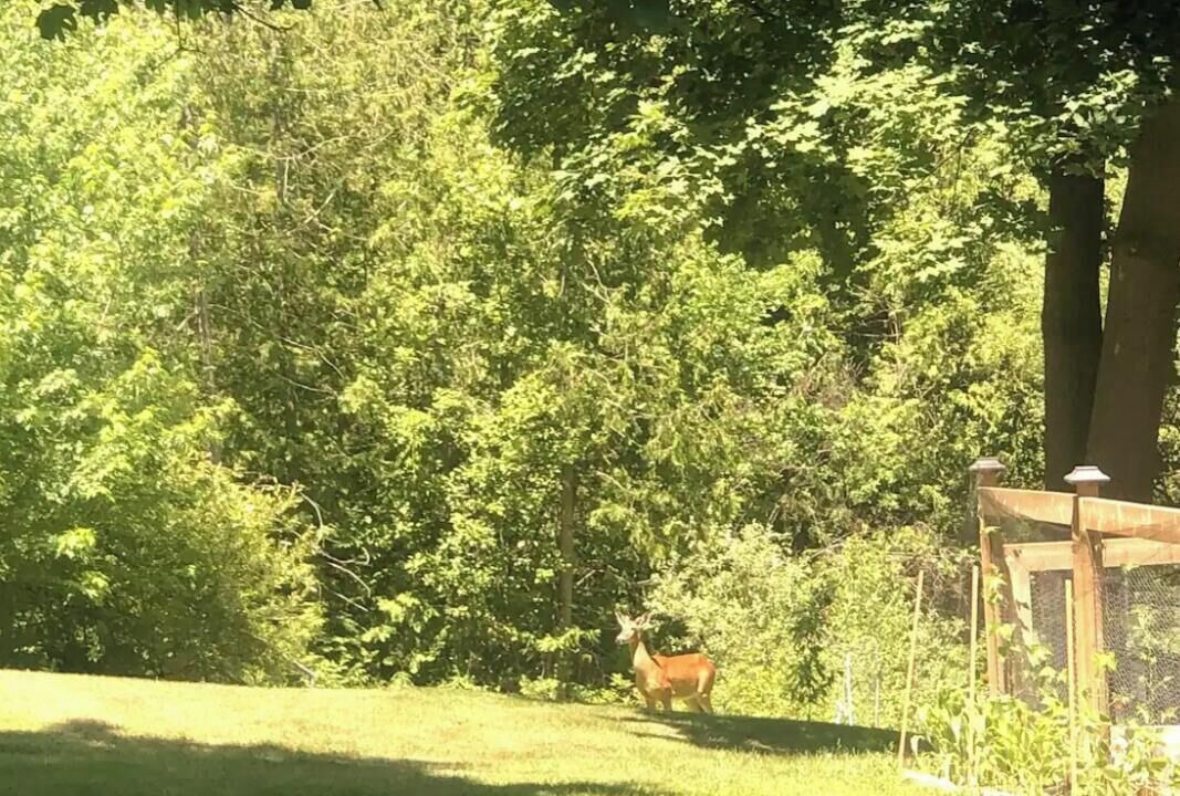 Photo of Outdoor in Alton