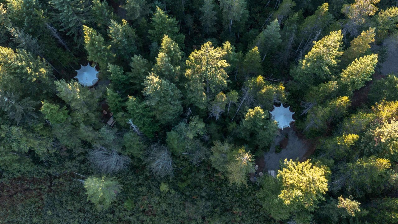 Photo of Outdoor in Black Creek