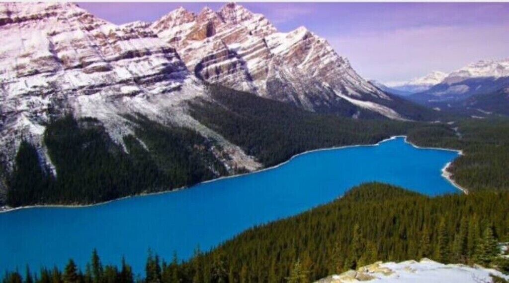 Photo of Others in Bridlewood