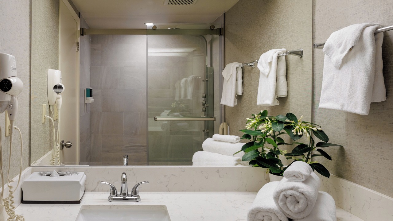 Photo of Bathroom in Golden Triangle