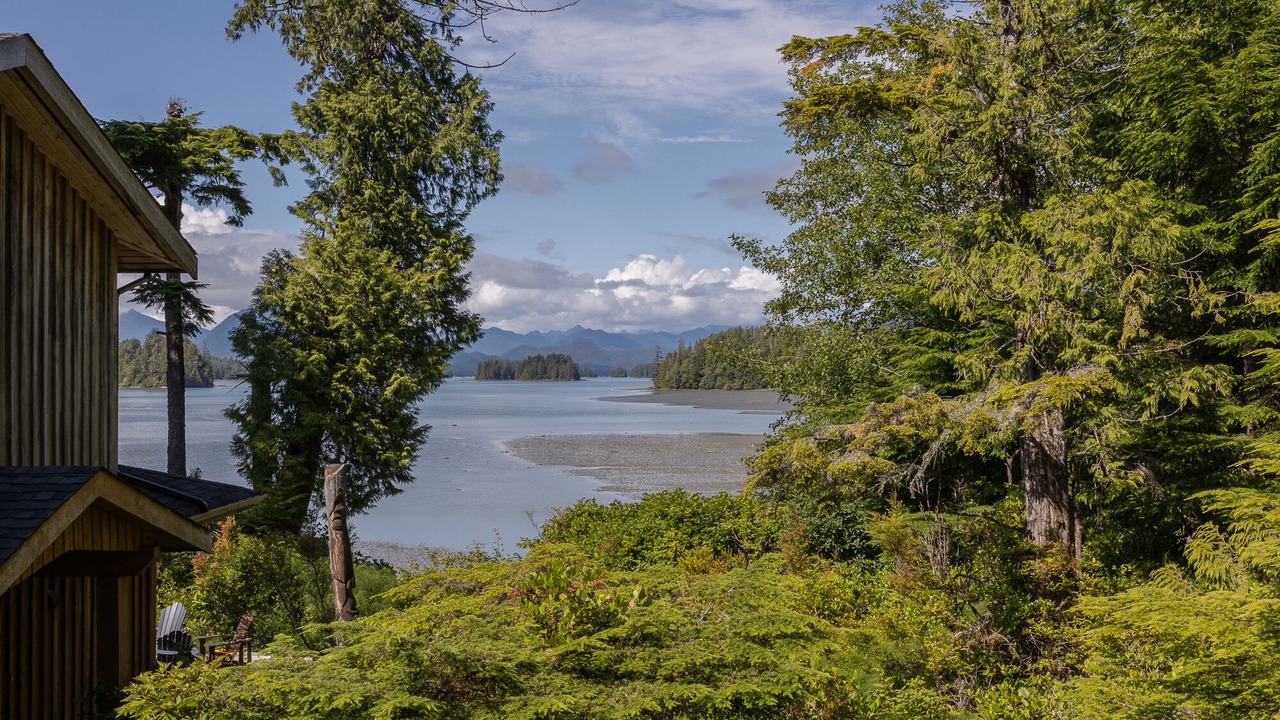 Photo of Others in Tofino