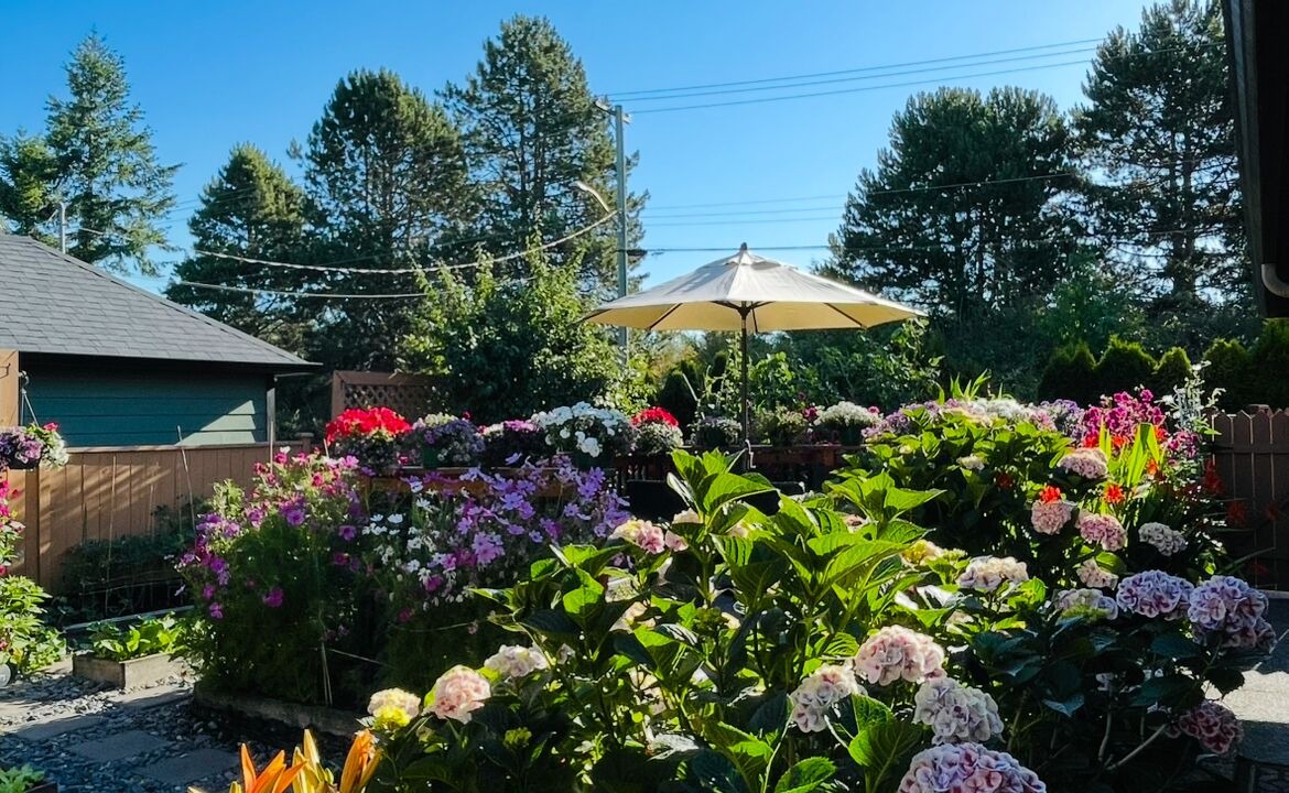 Photo of Outdoor in Saanich West