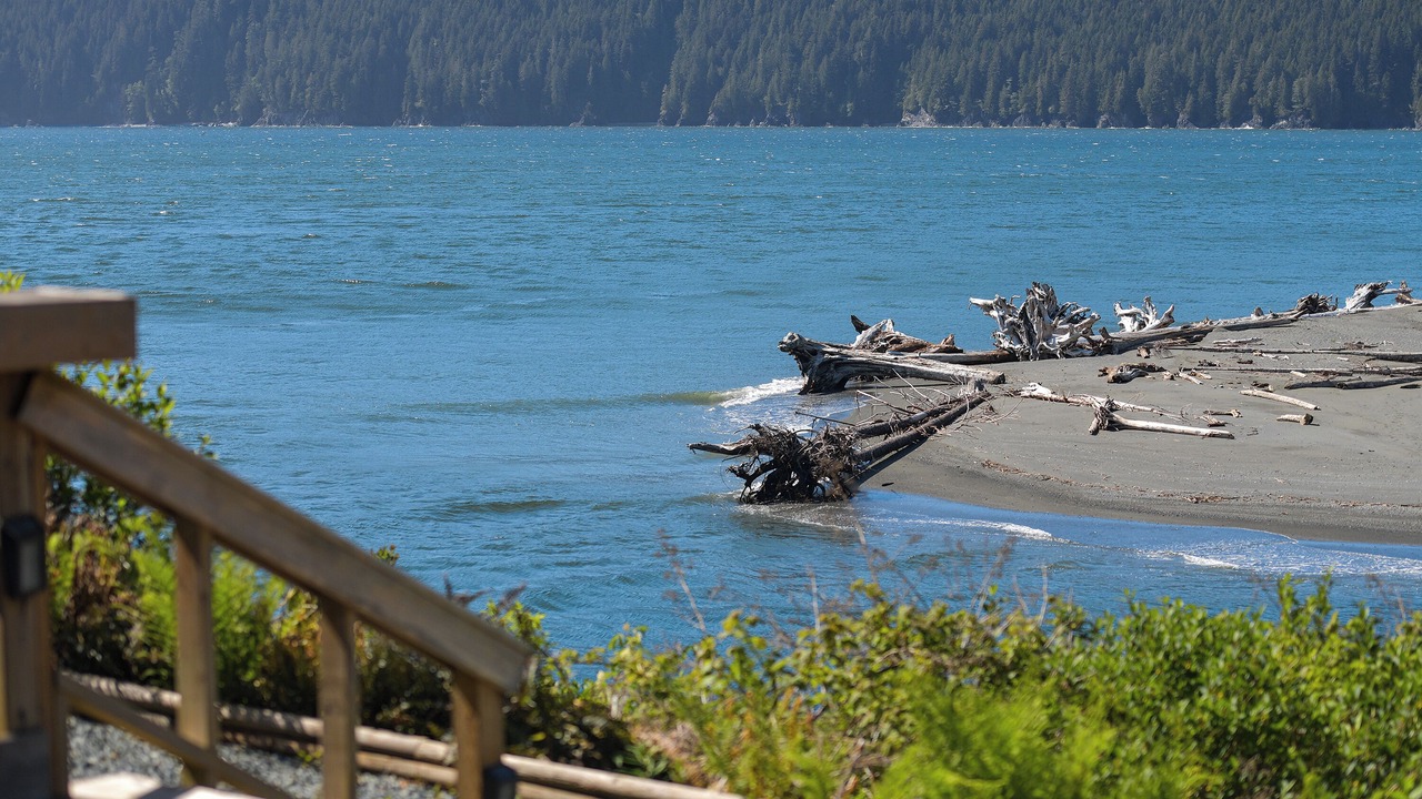 Photo of Others in Port Renfrew