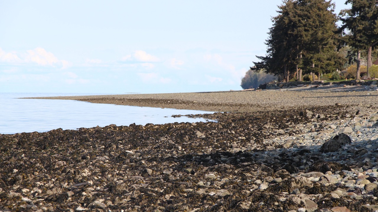 Photo of Others in Regional District of Nanaimo