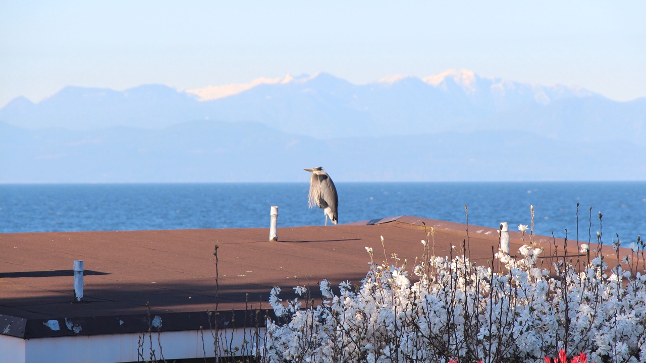 Photo of Others in Regional District of Nanaimo