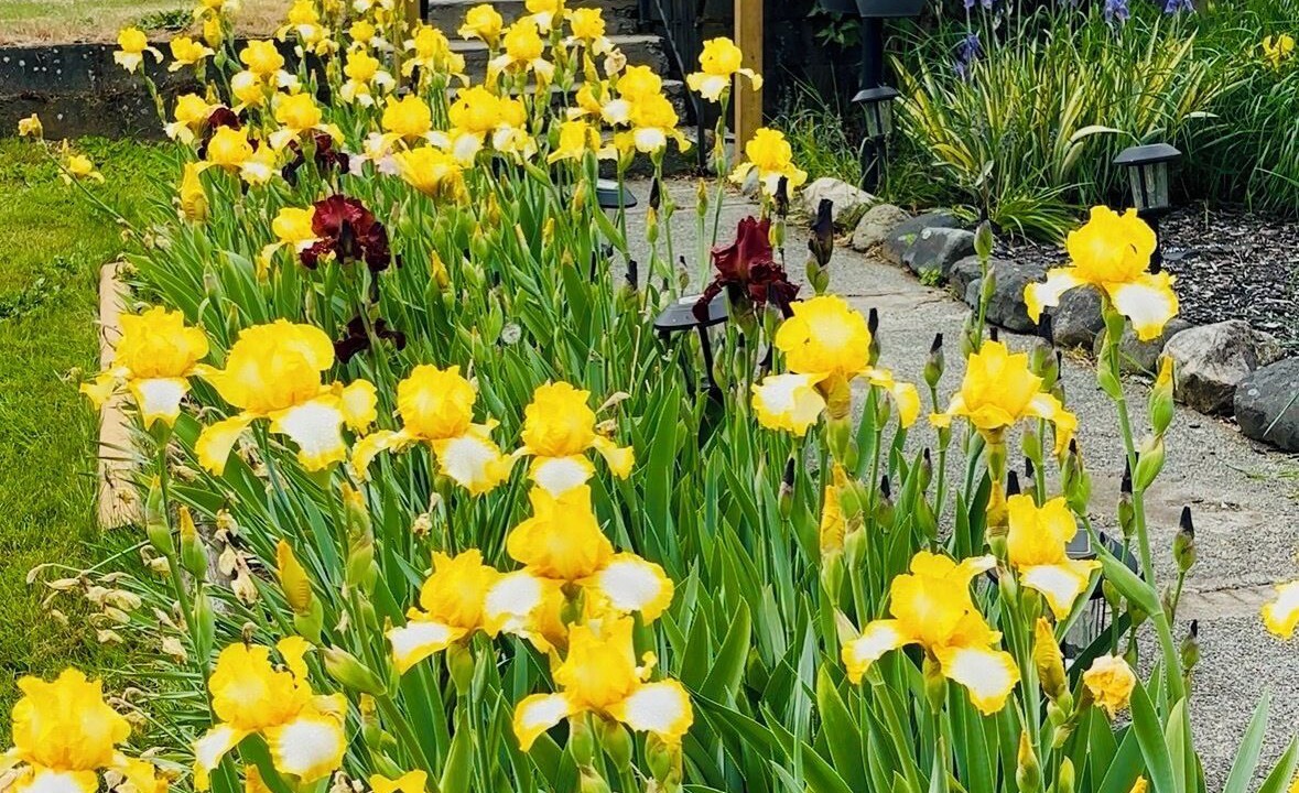 Photo of Outdoor in Regional District of Nanaimo