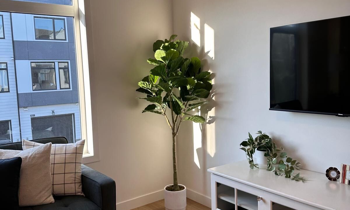 Photo of Livingroom in Calgary