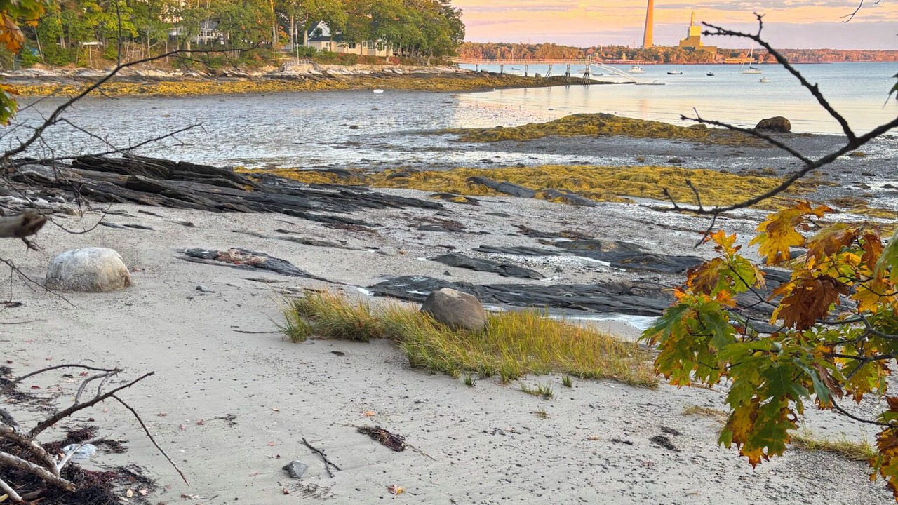 Photo of Others in Yarmouth