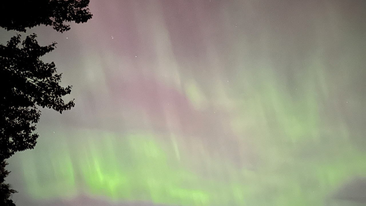 Photo of Others in Northwest Calgary