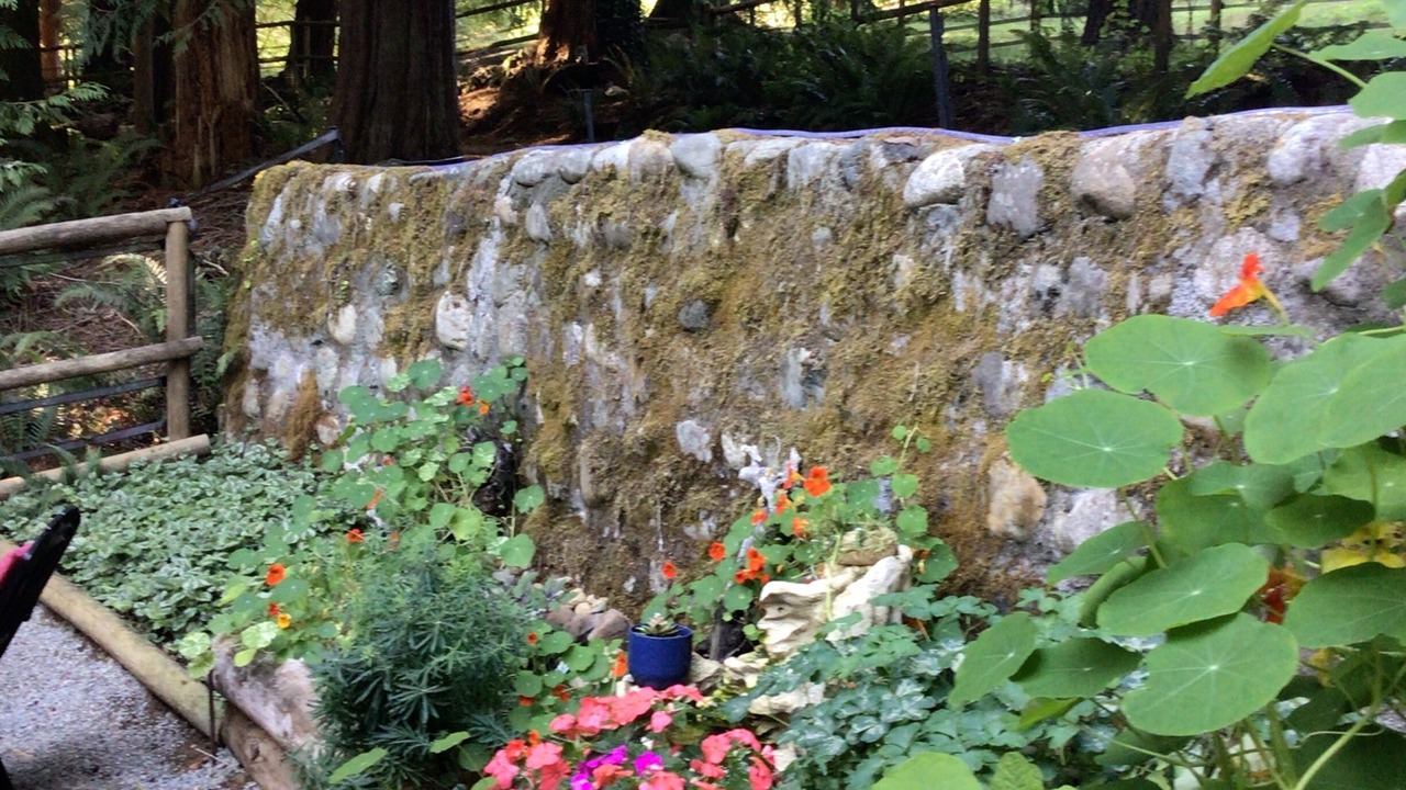 Photo of Outdoor in Otter Point