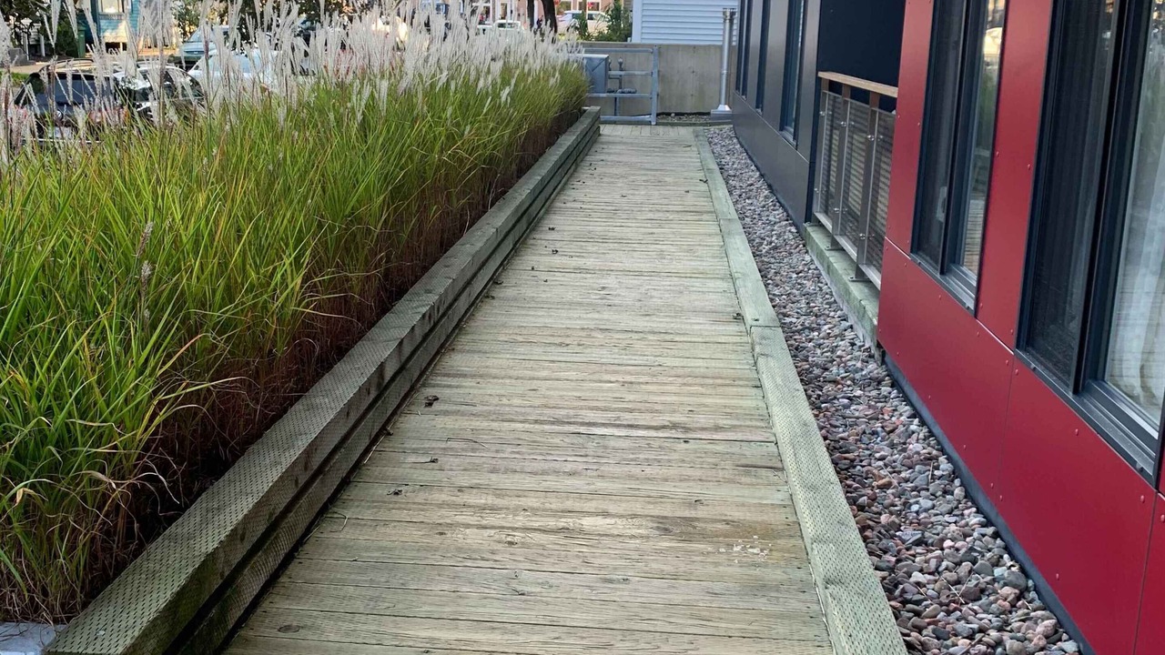 Photo of Outdoor in North End