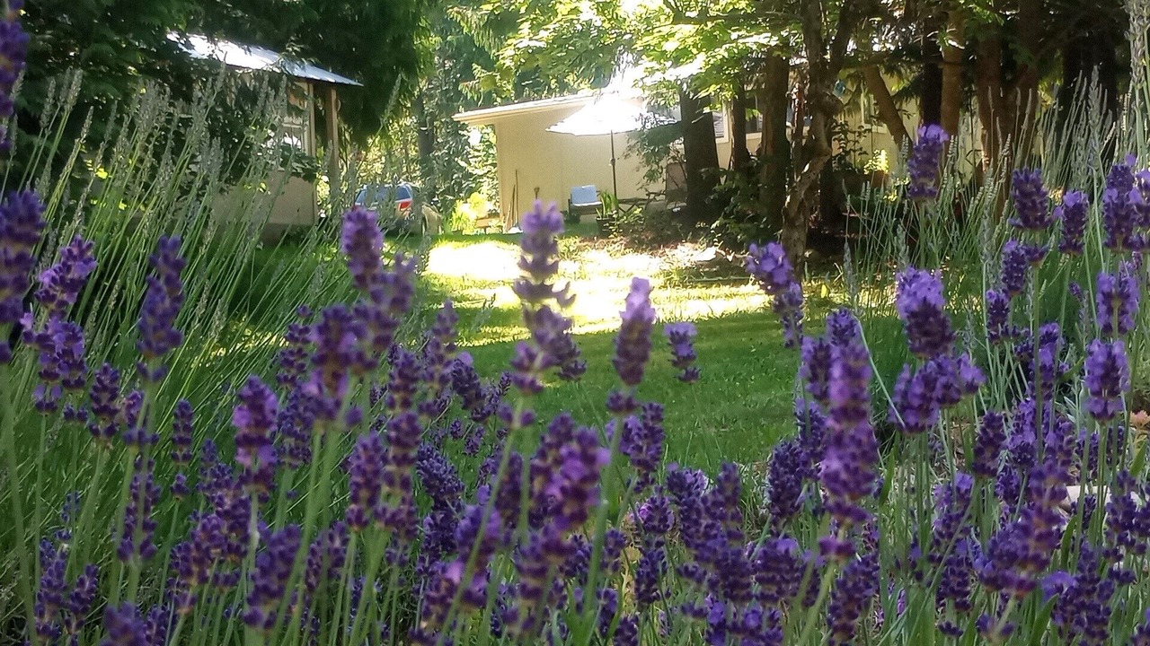 Photo of Outdoor in Fauquier