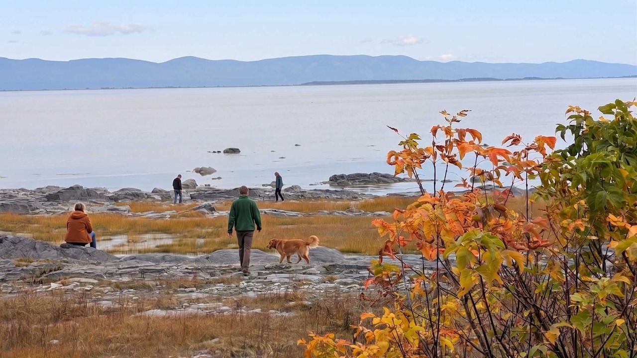 Photo of Others in Cap-Saint-Ignace