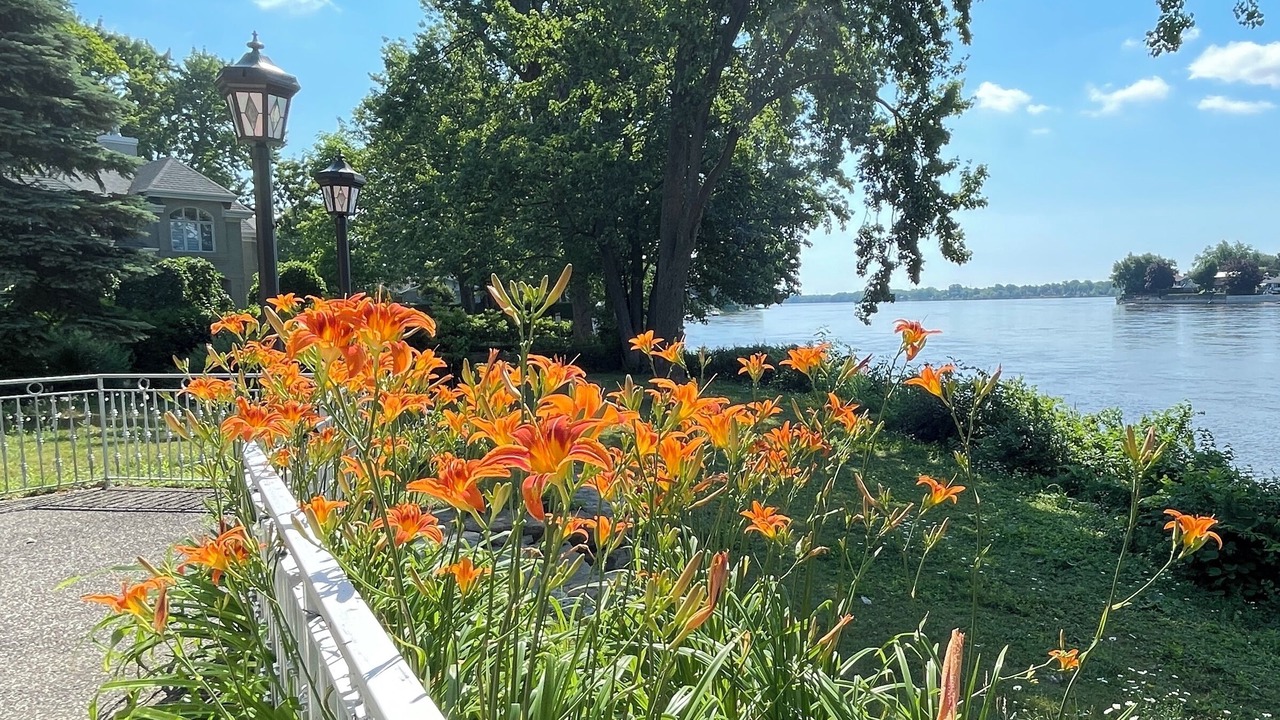 Photo of Outdoor in Sainte-Dorothee