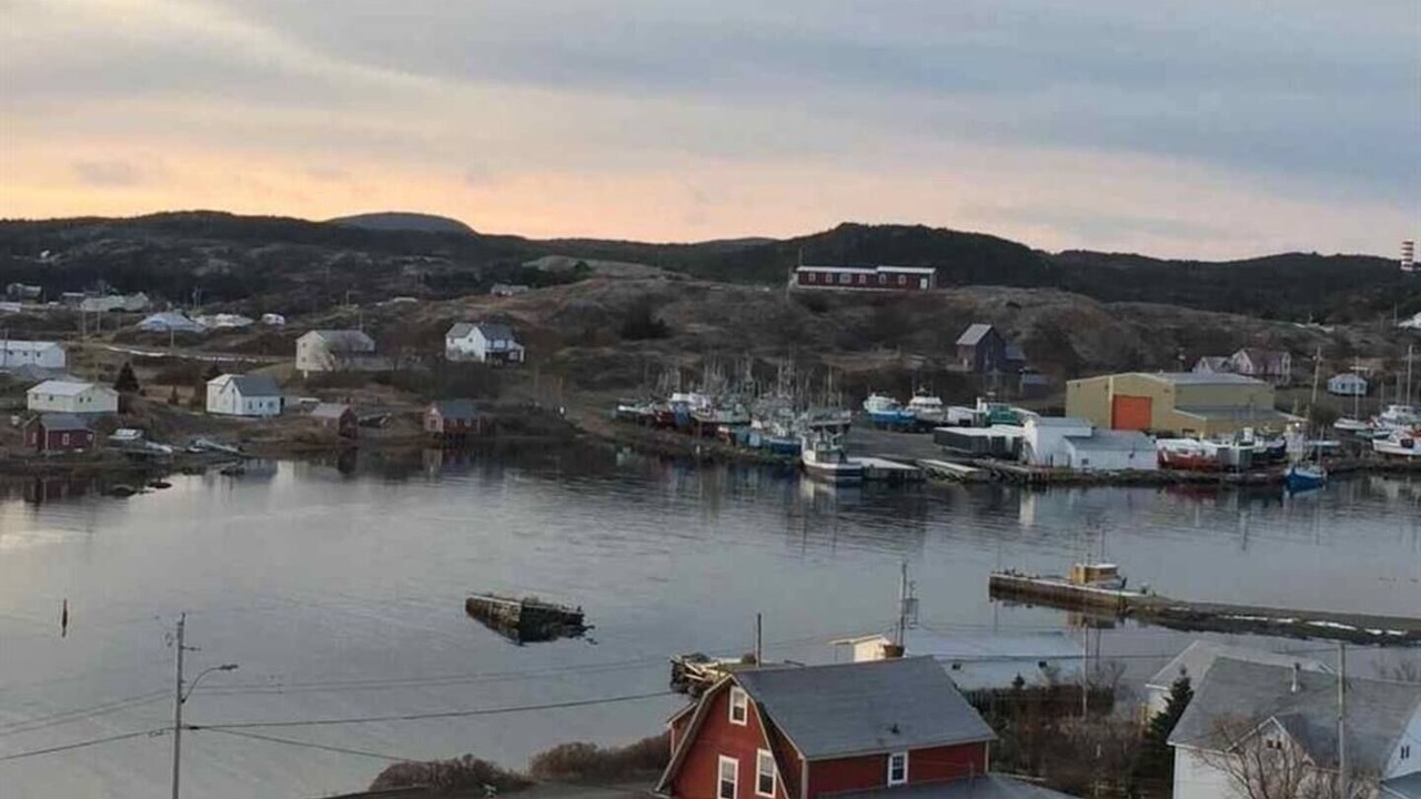 Photo of Others in Twillingate