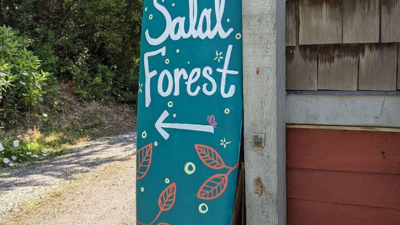 Photo of Others in Tofino