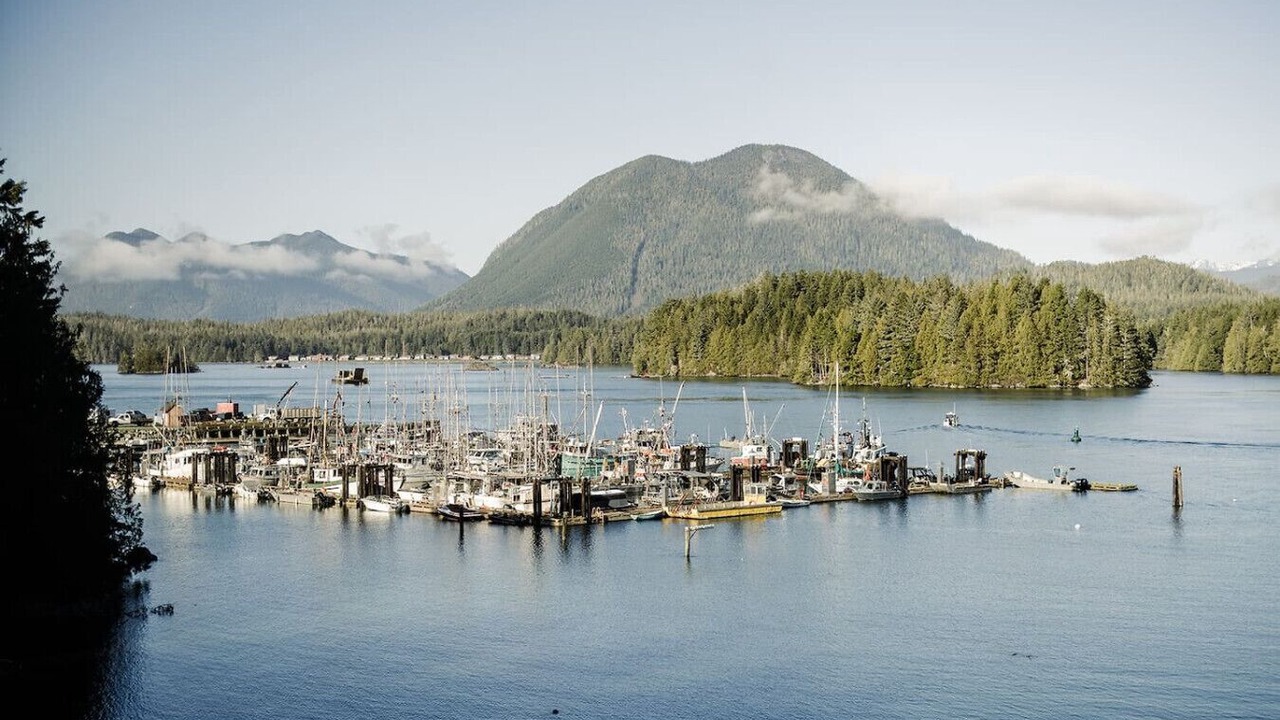 Photo of Others in Tofino