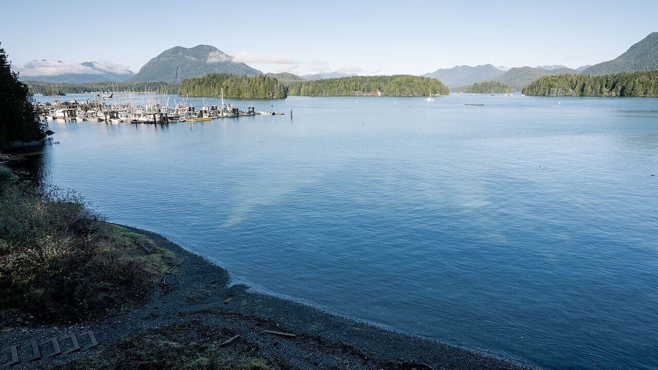 Photo of Others in Tofino