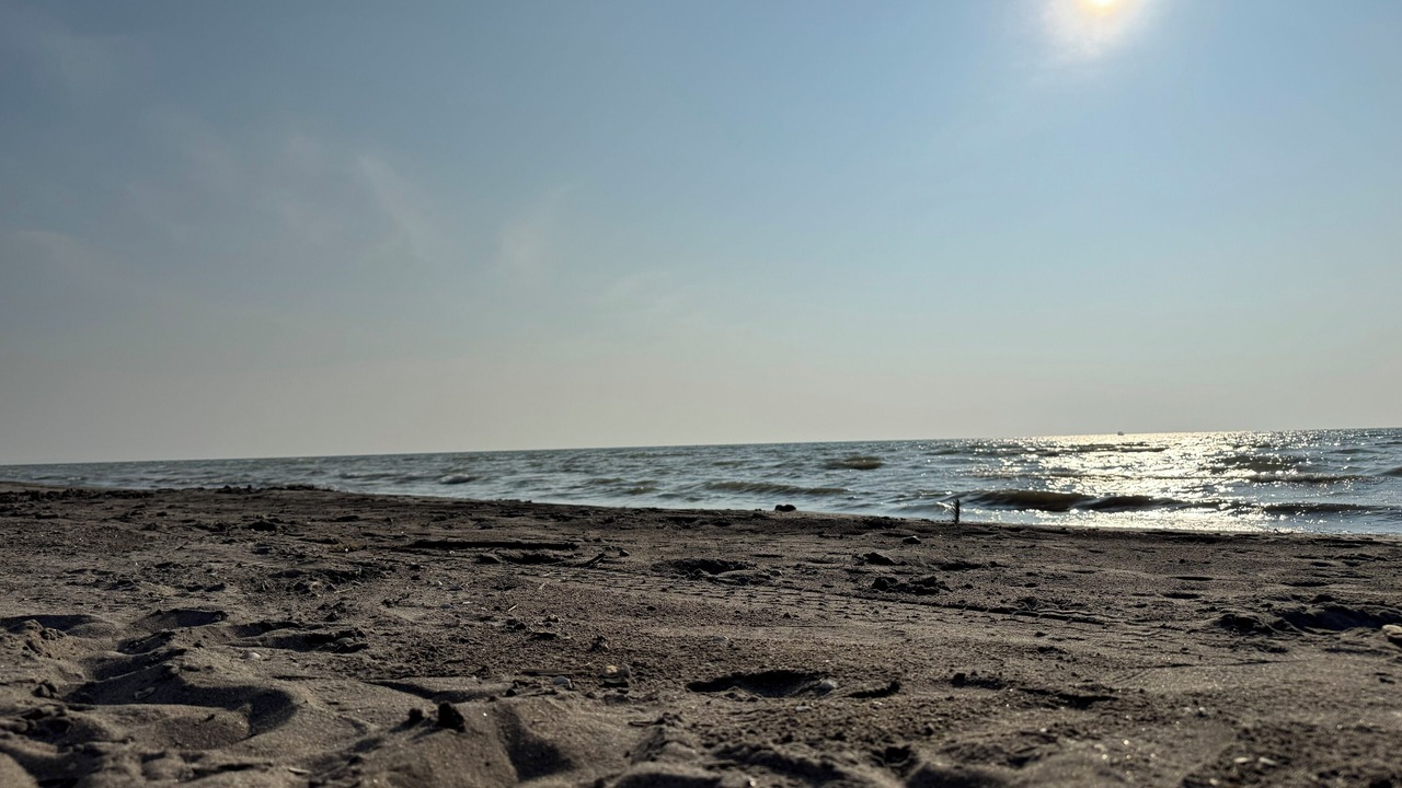 Photo of Others in Wasaga Beach