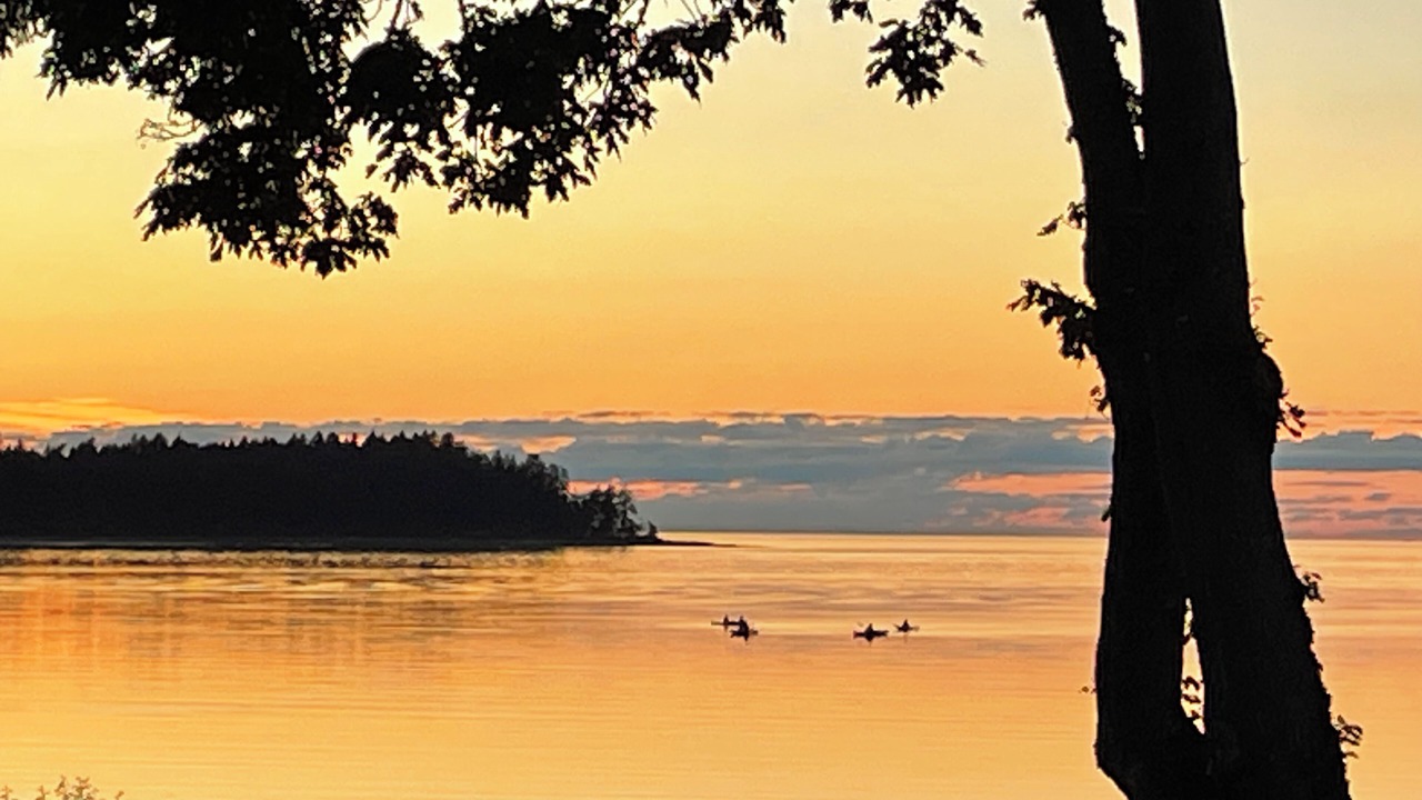 Photo of Others in Regional District of Nanaimo