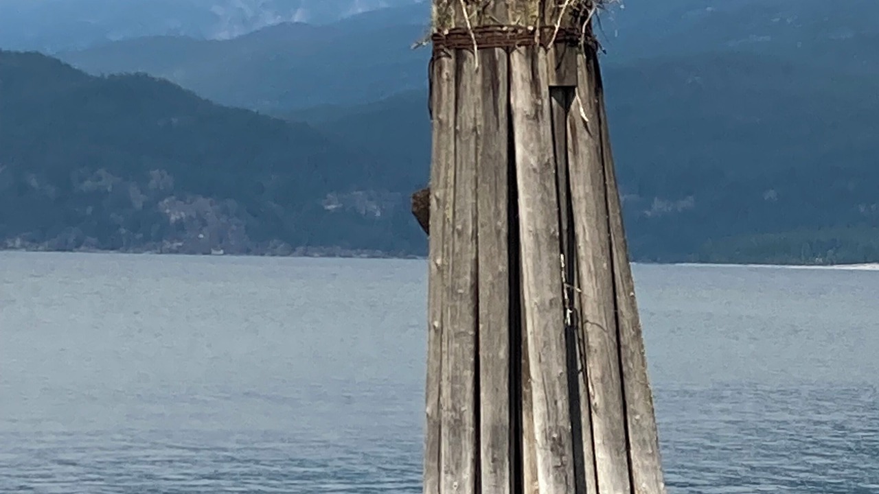 Photo of Others in Kaslo