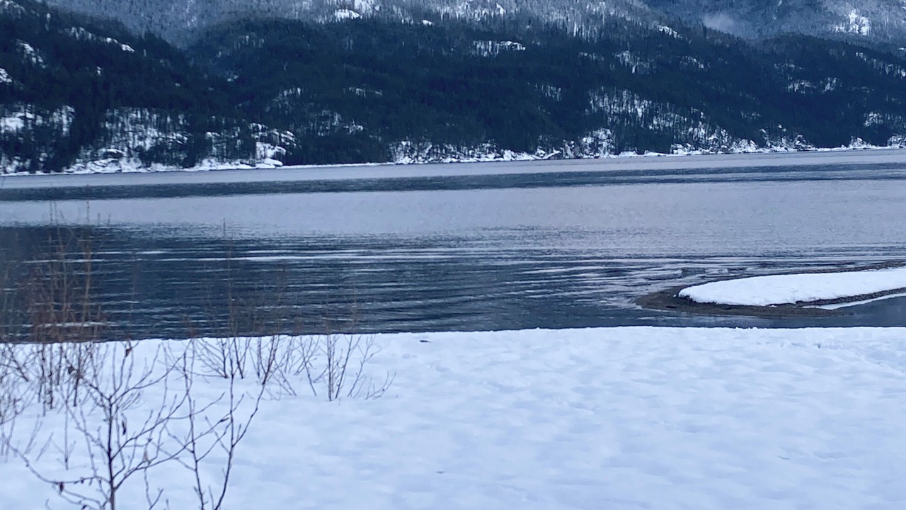Photo of Others in Kaslo