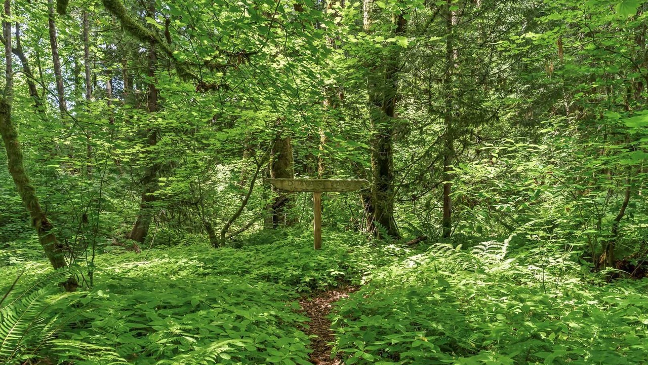 Photo of Others in Langley