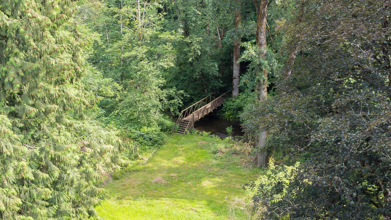 Photo of Others in Langley