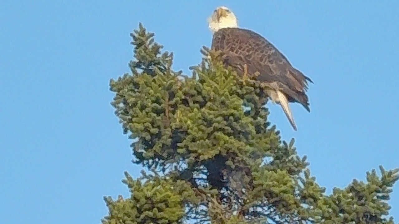 Photo of Others in Kings County